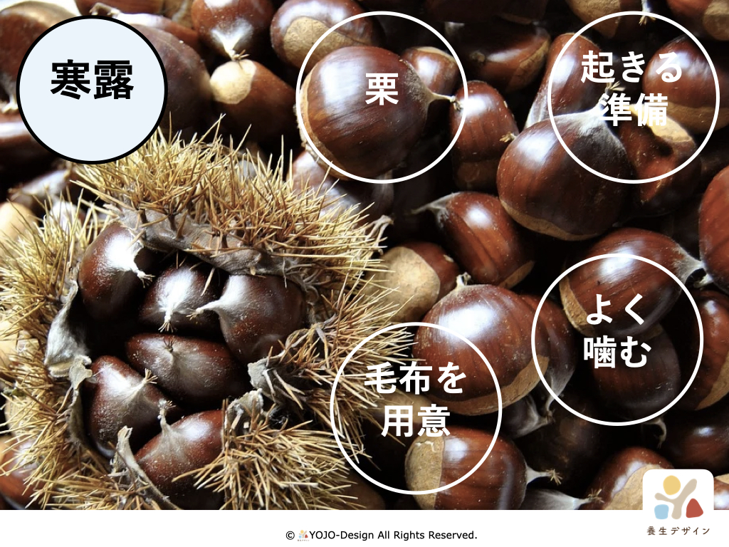寒露のポイント4つ!